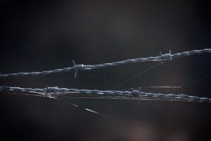 ゆる糖質制限とダイエットサプリの併用で得られる効果は？