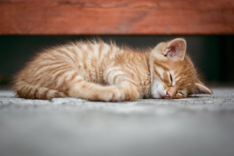 夜勤の方におすすめの睡眠アプリは？