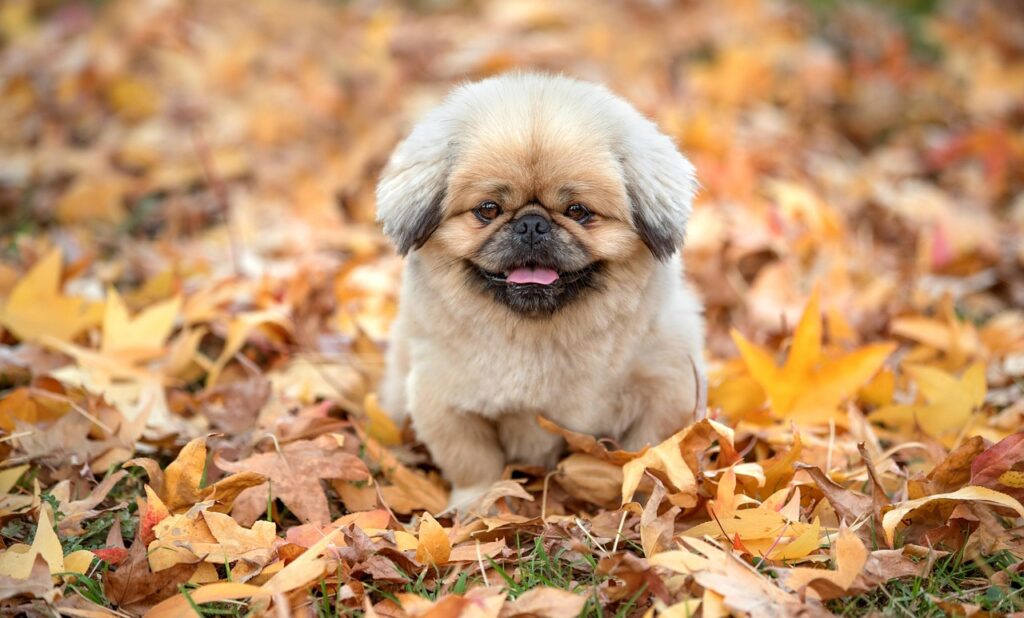 夜勤明けに最適な仮眠時間はどれくらい？