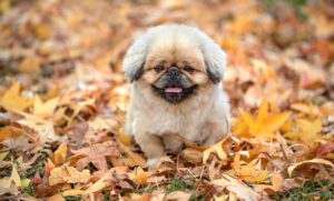 夜勤明けに最適な仮眠時間はどれくらい？