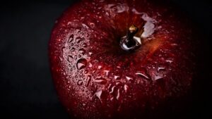 食前に何分前に飲むと食欲を抑えるサプリは？