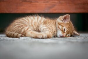 夜勤のための寝だめ方法とは？