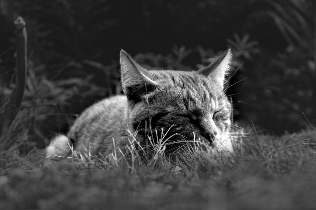 夜勤の方が睡眠の質を向上させるための方法は？