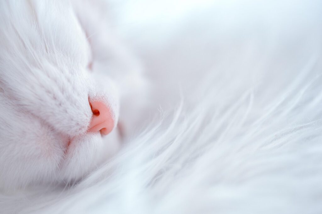 夜勤ナースが睡眠で失敗しないためのポイントは？