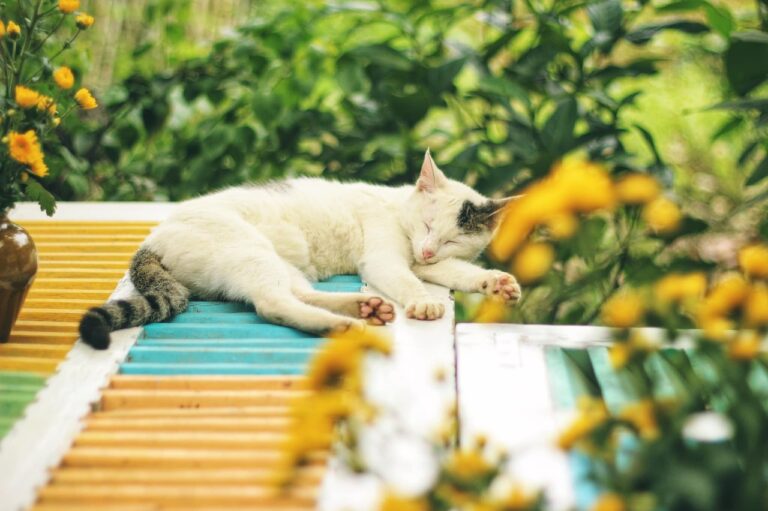 夜勤ナースの睡眠料金はどれくらいかかる？