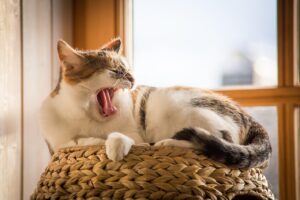 睡眠質を向上させる方法はこれだ！あなたに合った改善策は？