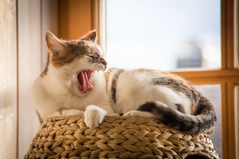 睡眠質を向上させる方法はこれだ！あなたに合った改善策は？